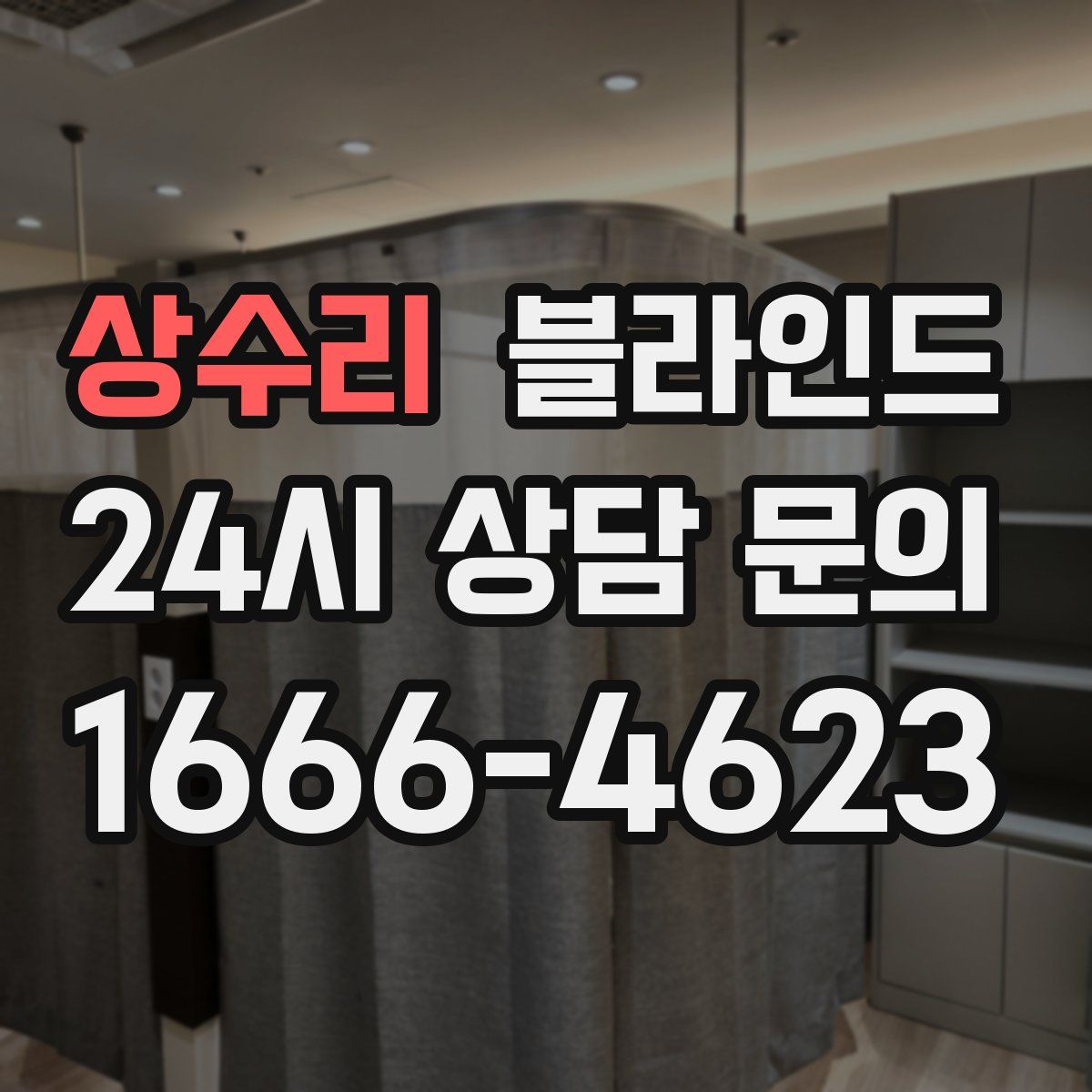 상수리 블라인드