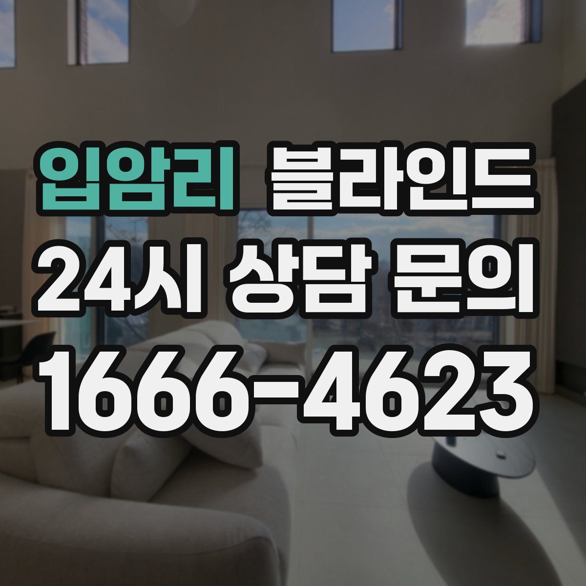 입암리 블라인드