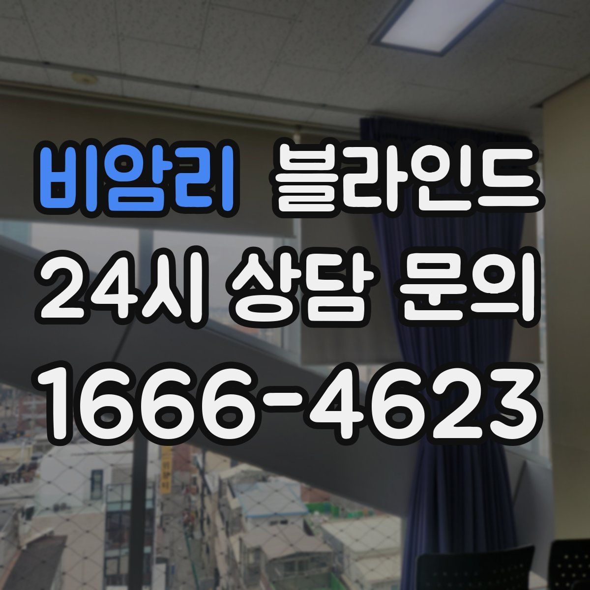 비암리 블라인드