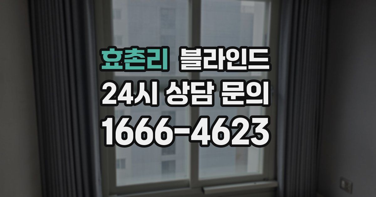 효촌리 블라인드