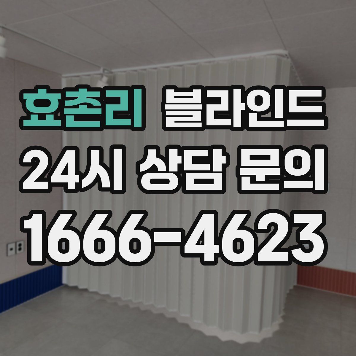 효촌리 블라인드