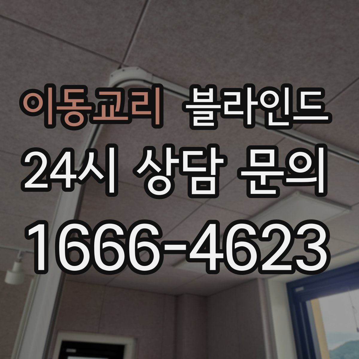 이동교리 블라인드