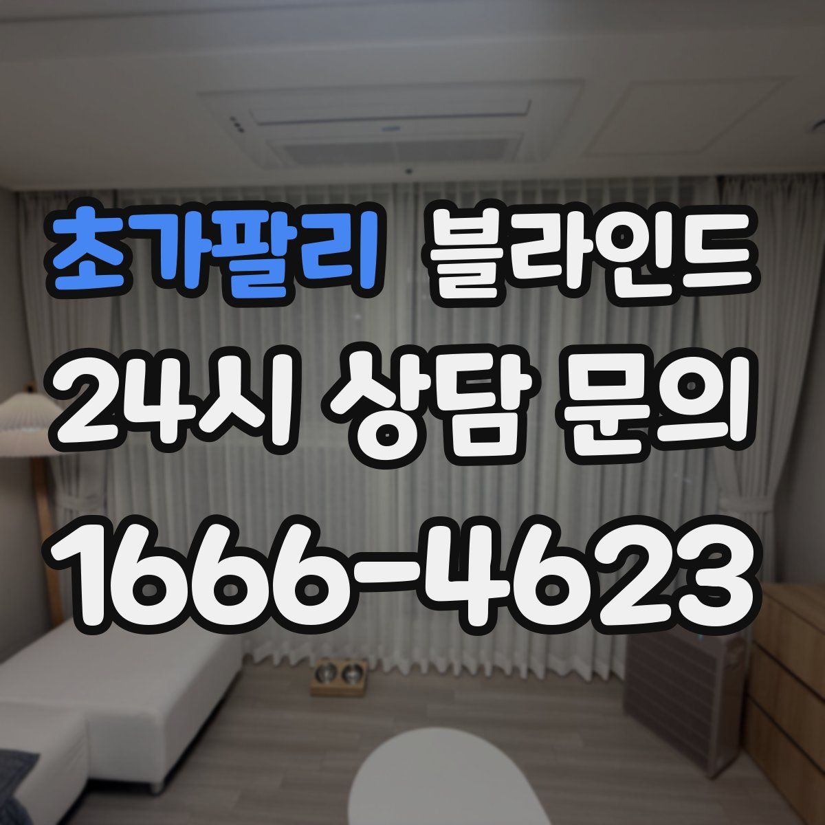 초가팔리 블라인드