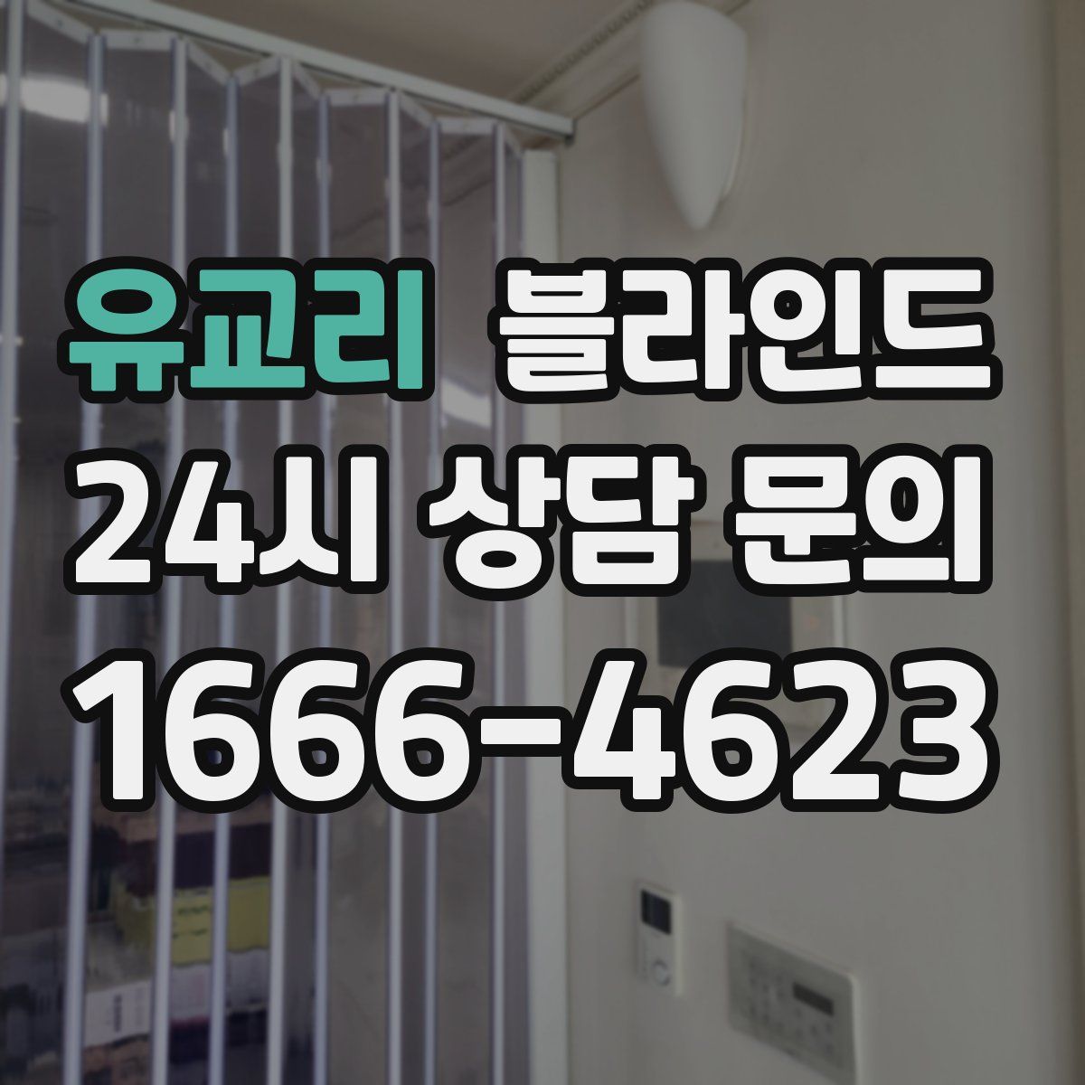 유교리 블라인드