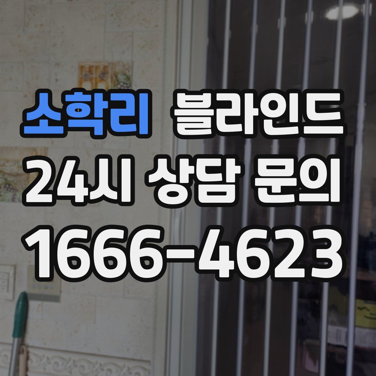 소학리 블라인드