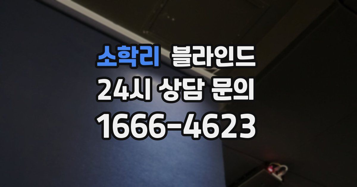 소학리 블라인드