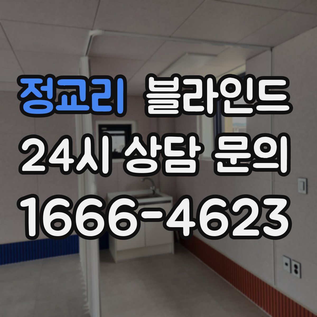 정교리 블라인드