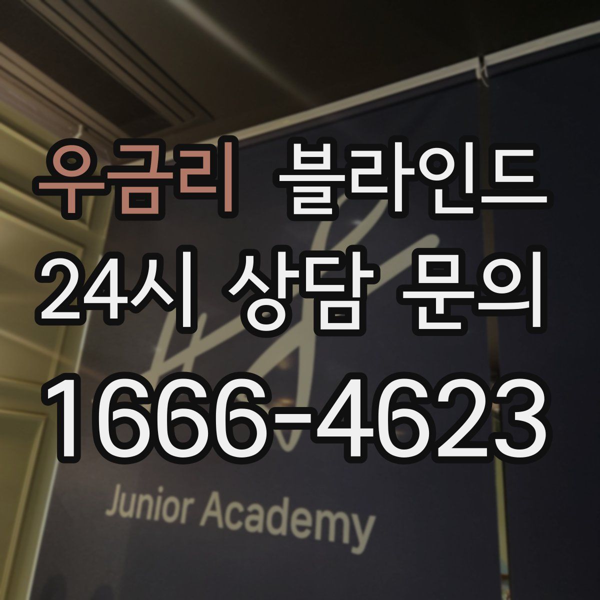 우금리 블라인드