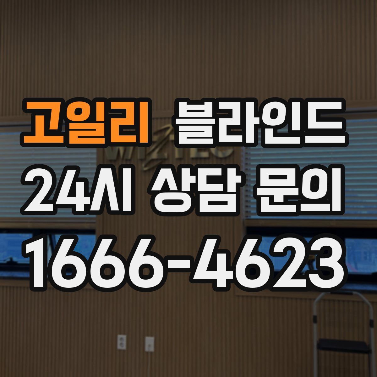 고일리 블라인드
