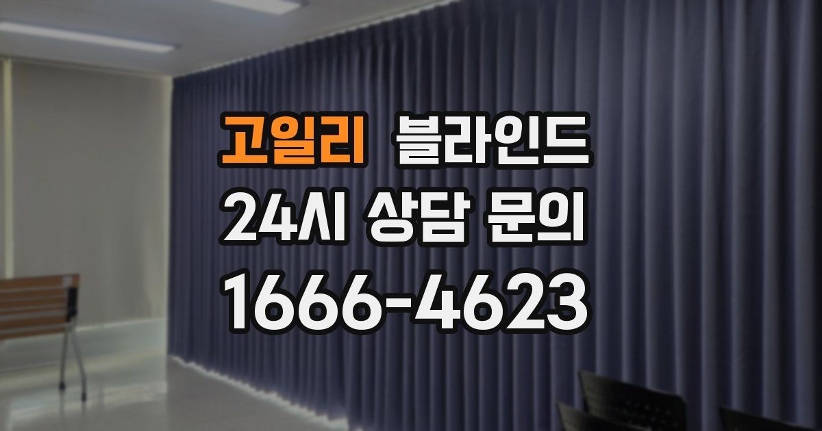 고일리 블라인드