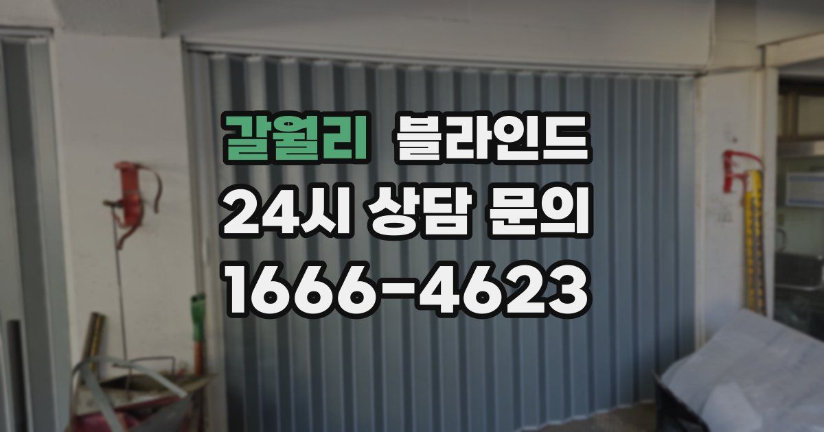 갈월리 블라인드