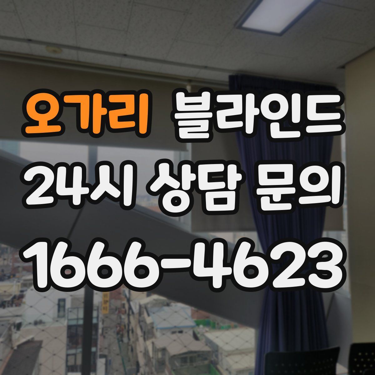 오가리 블라인드