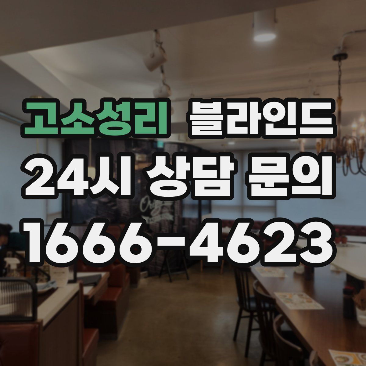 고소성리 블라인드