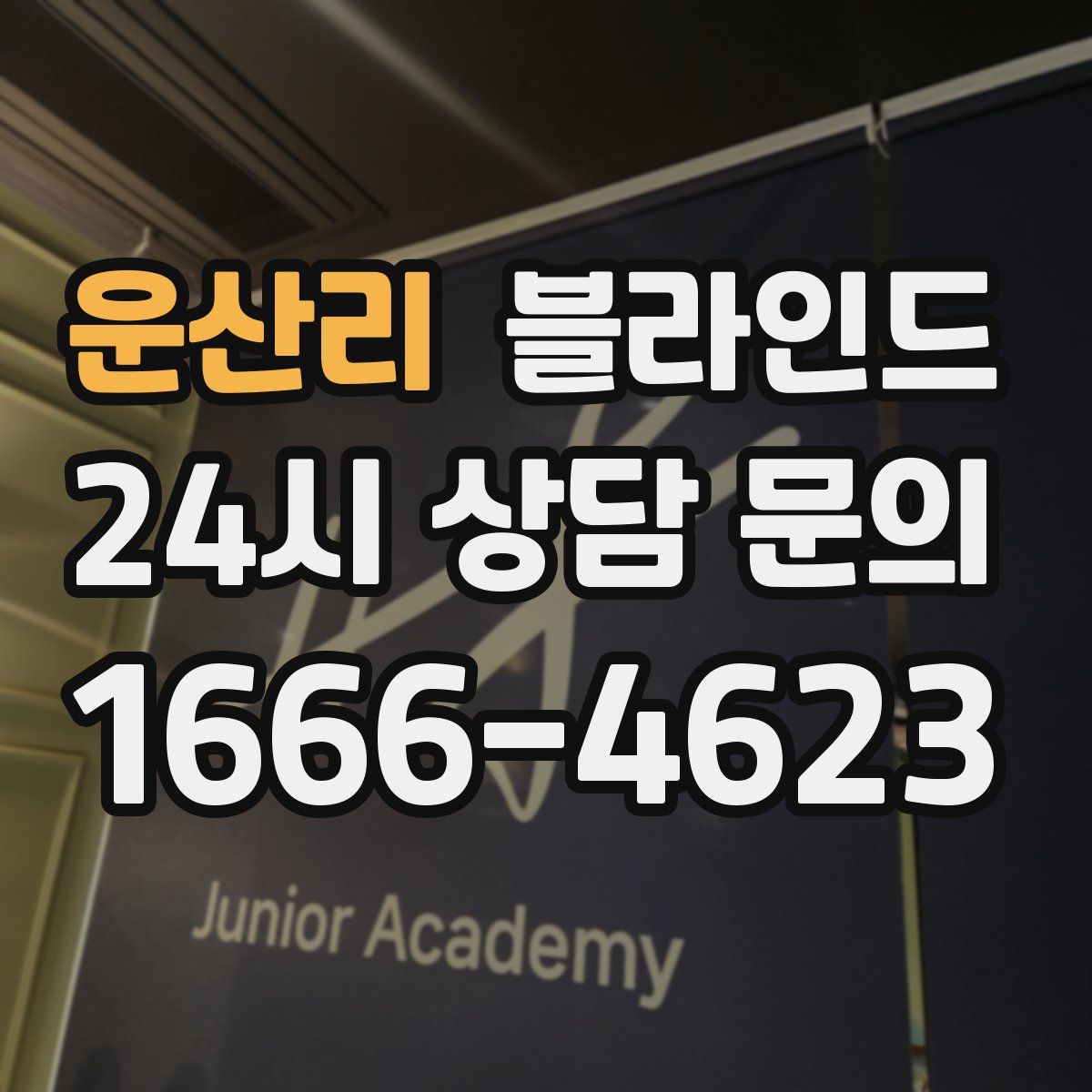 운산리 블라인드