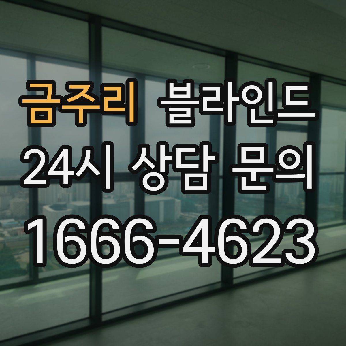 금주리 블라인드