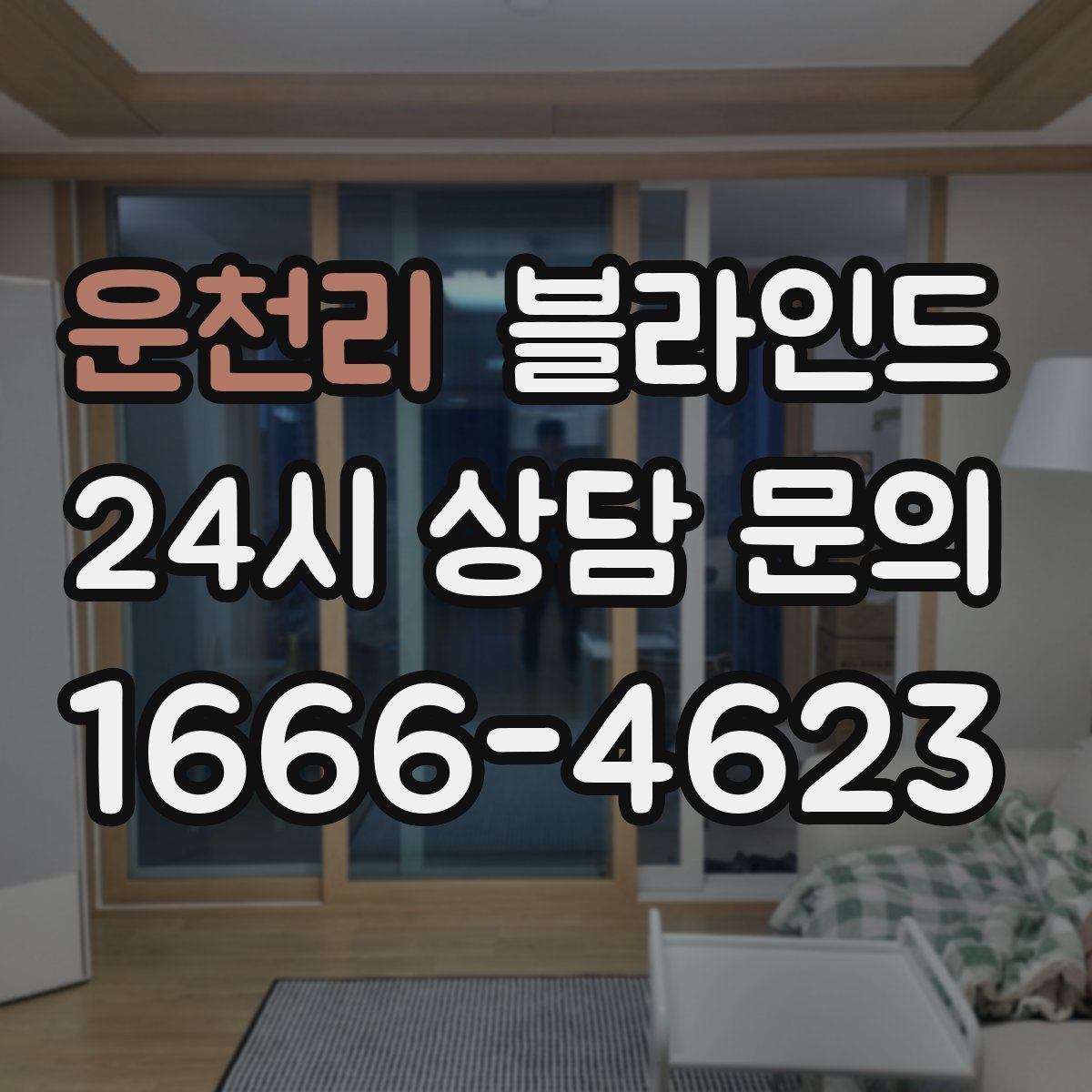 운천리 블라인드