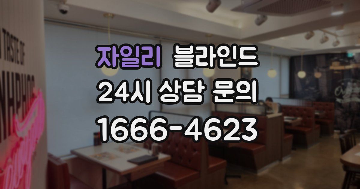자일리 블라인드