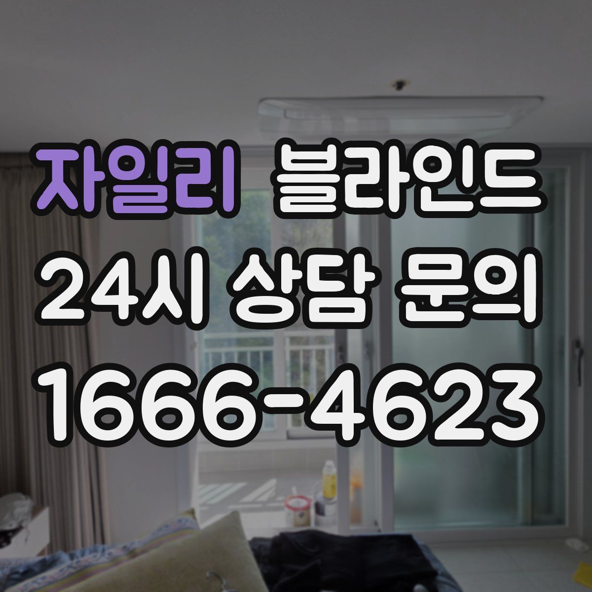 자일리 블라인드