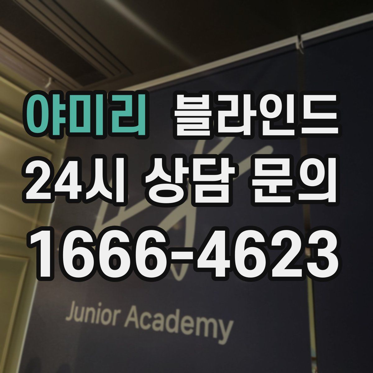 야미리 블라인드