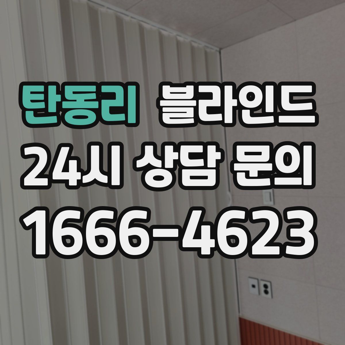 탄동리 블라인드