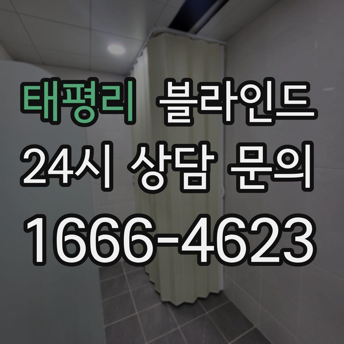 태평리 블라인드