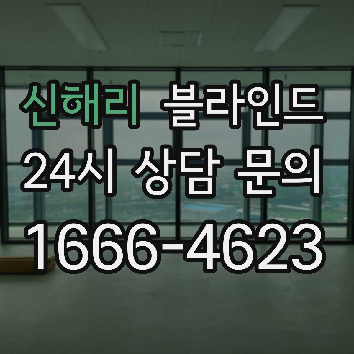 신해리 블라인드