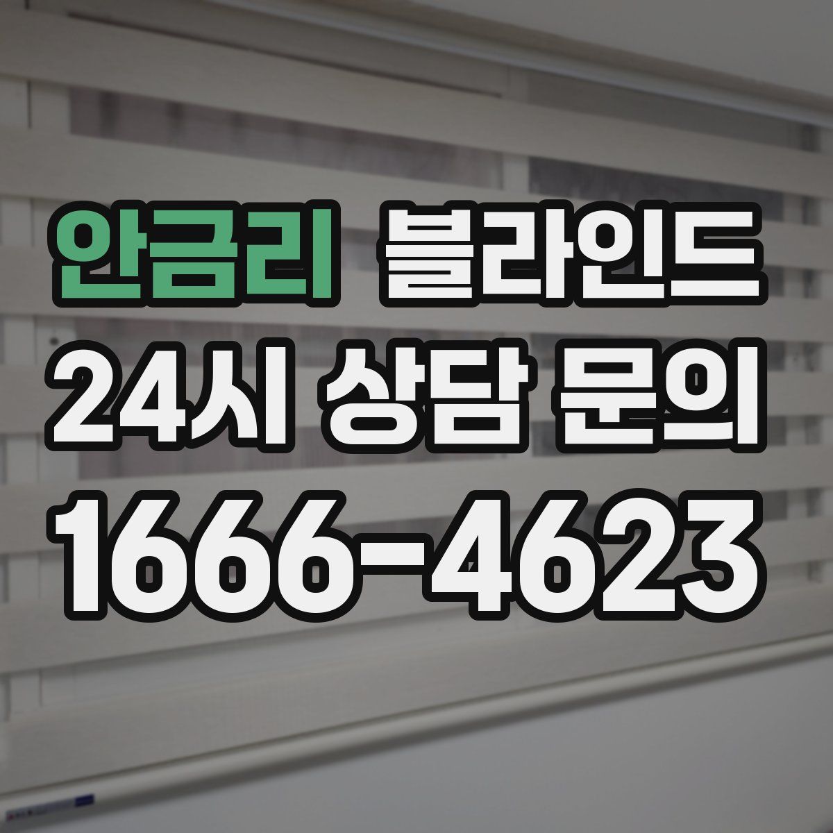 안금리 블라인드