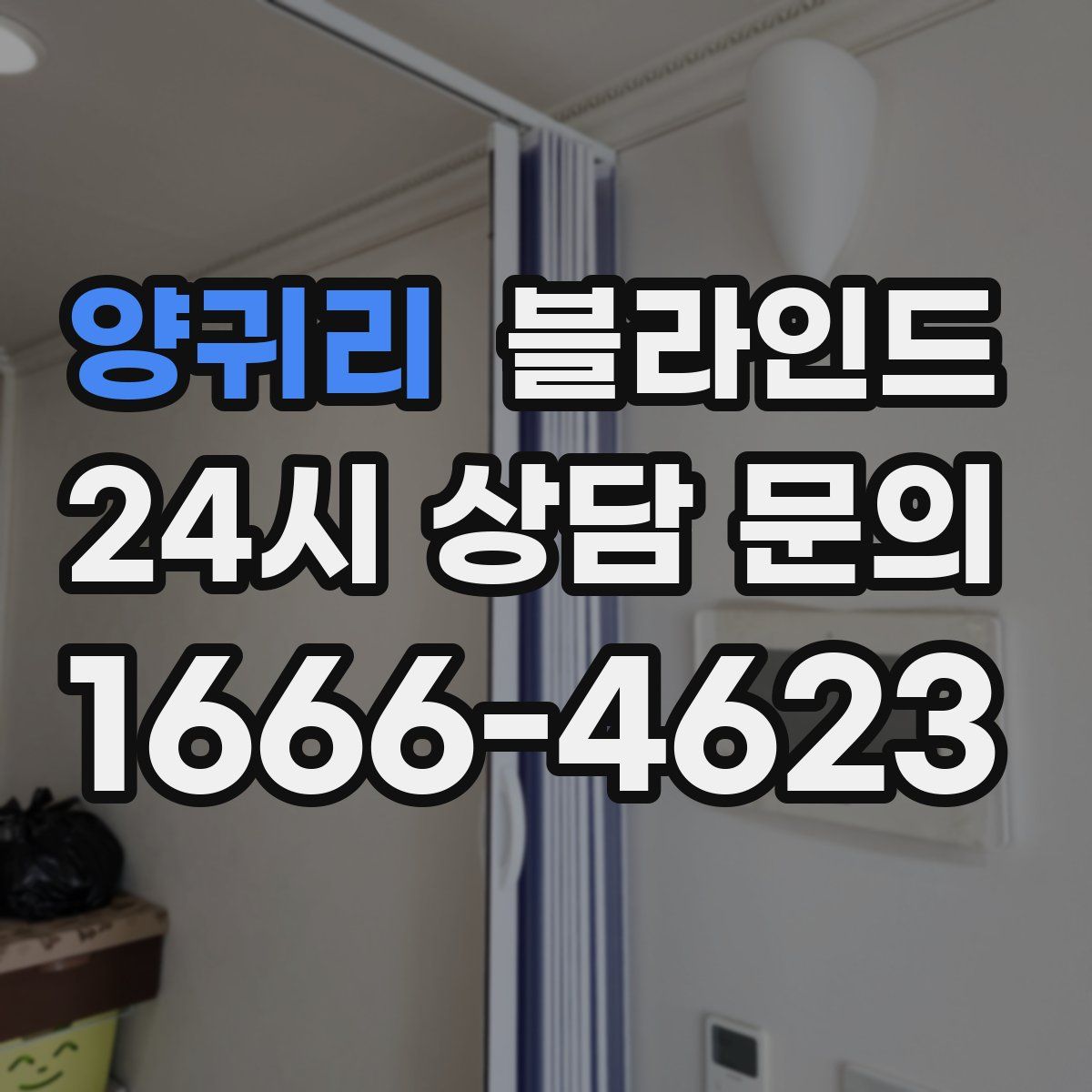 양귀리 블라인드