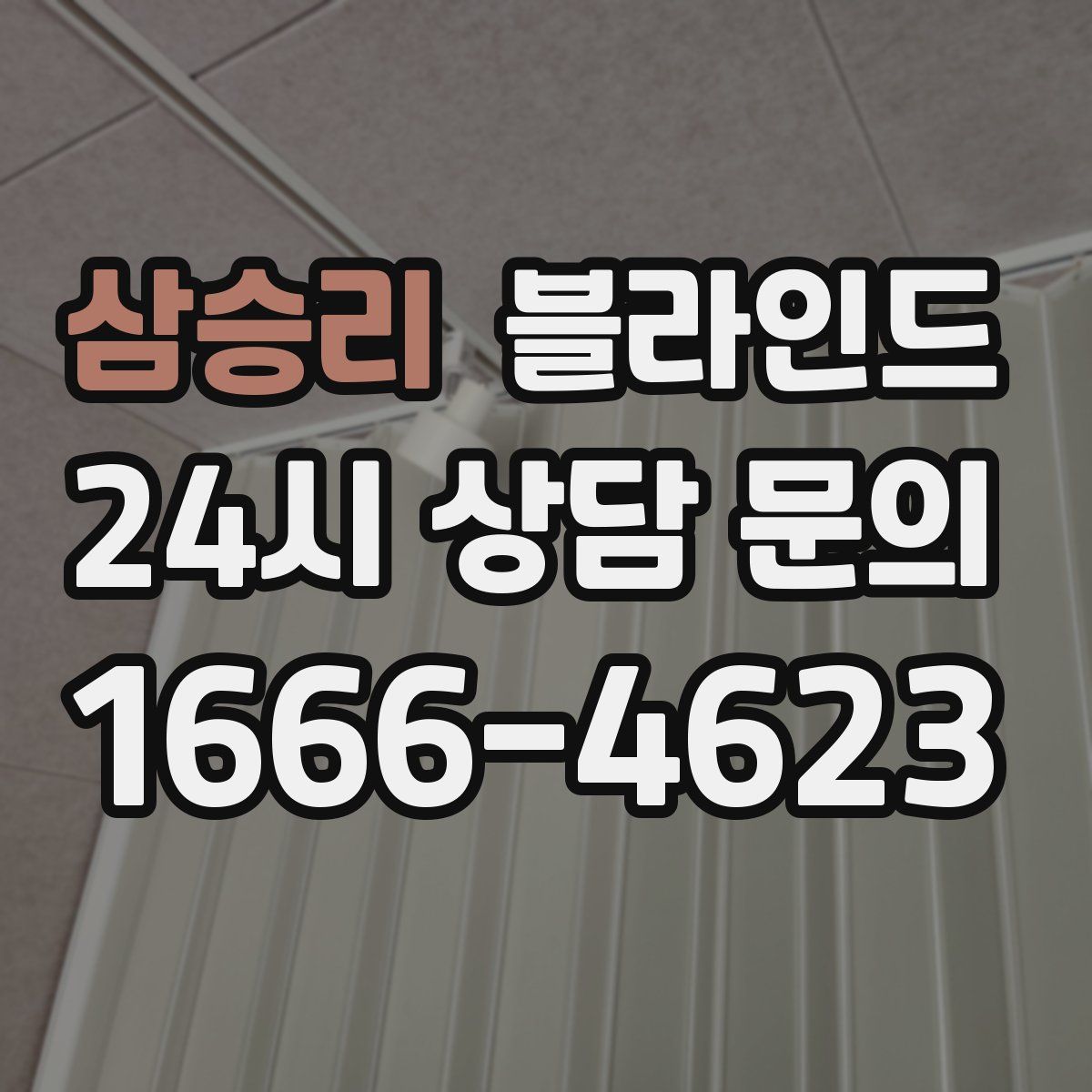삼승리 블라인드