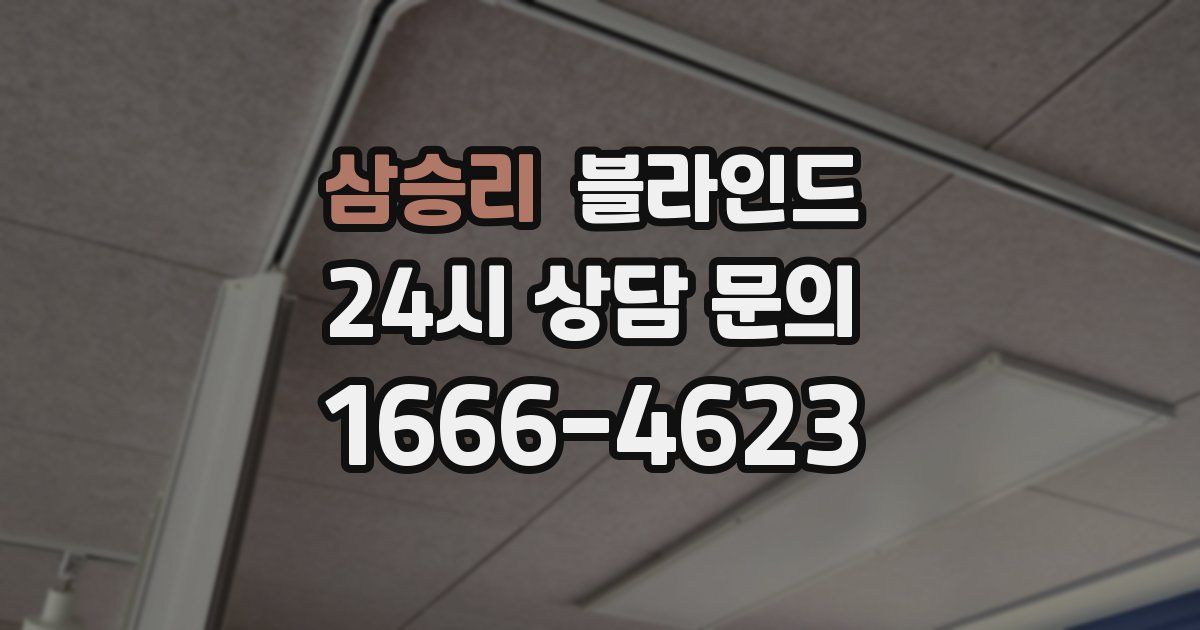 삼승리 블라인드