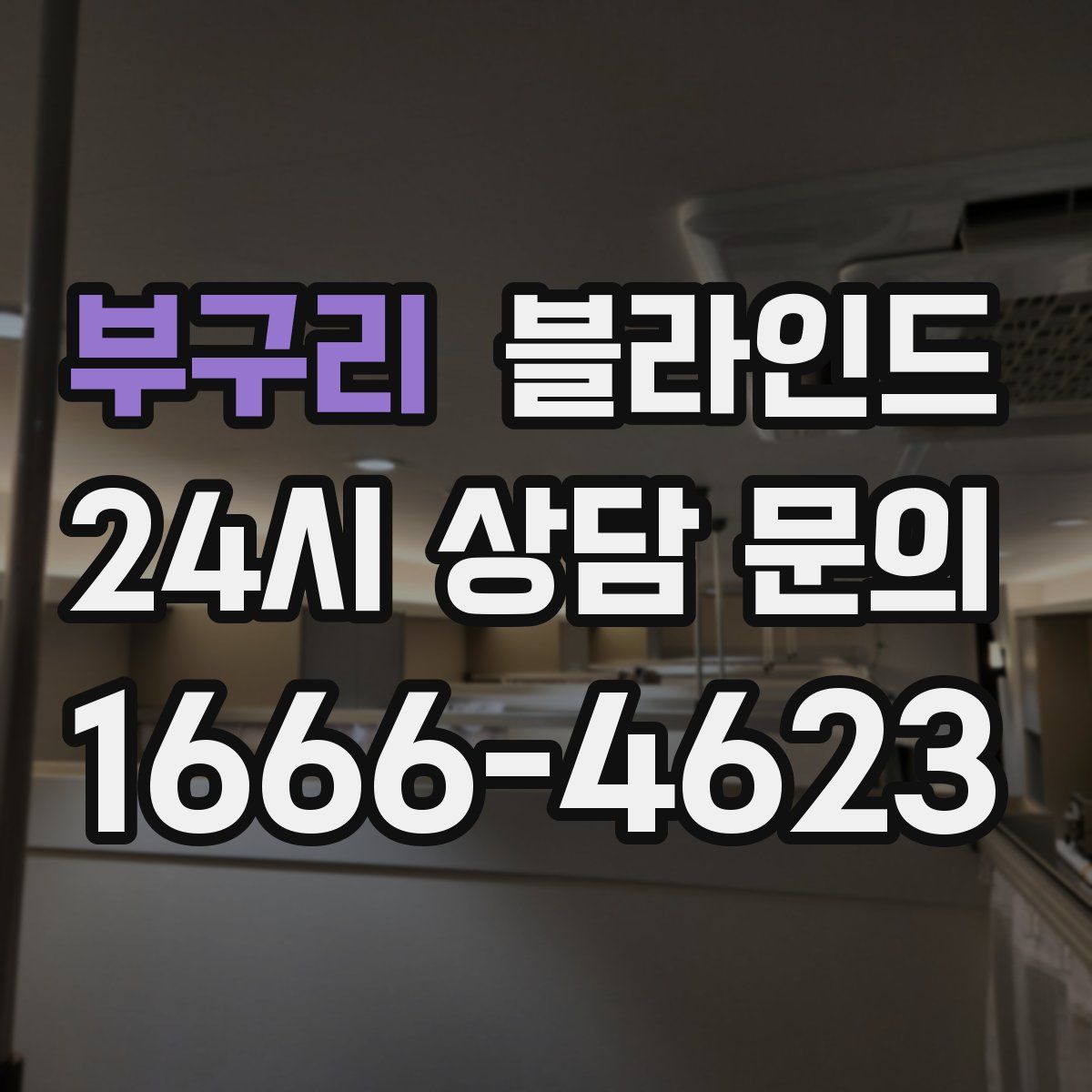 부구리 블라인드