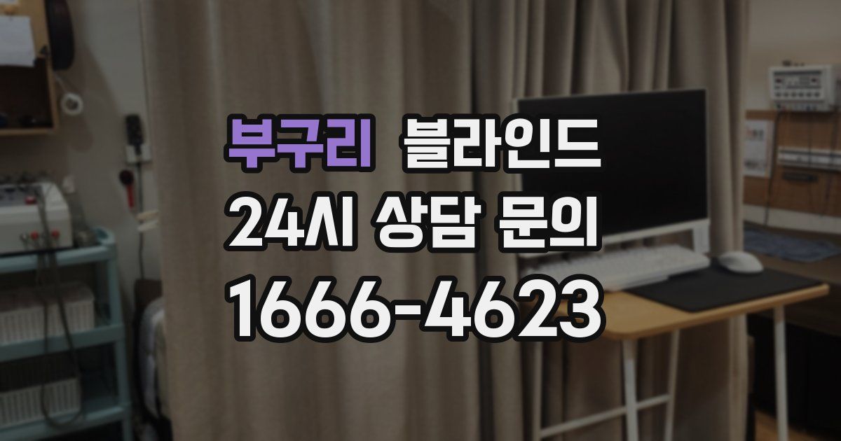 부구리 블라인드