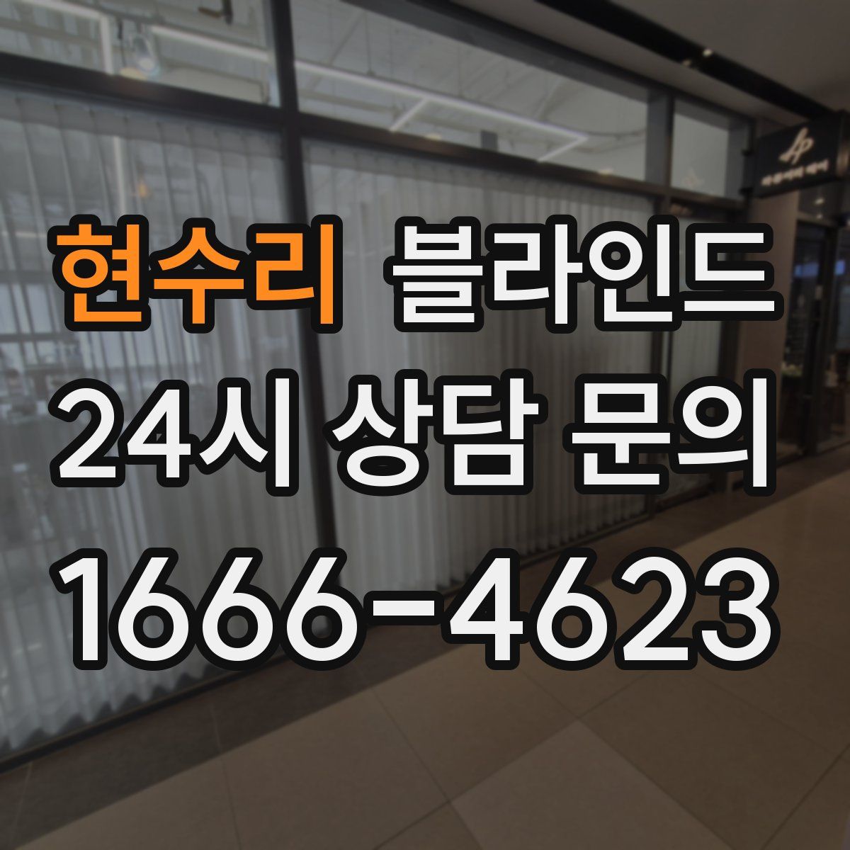 현수리 블라인드