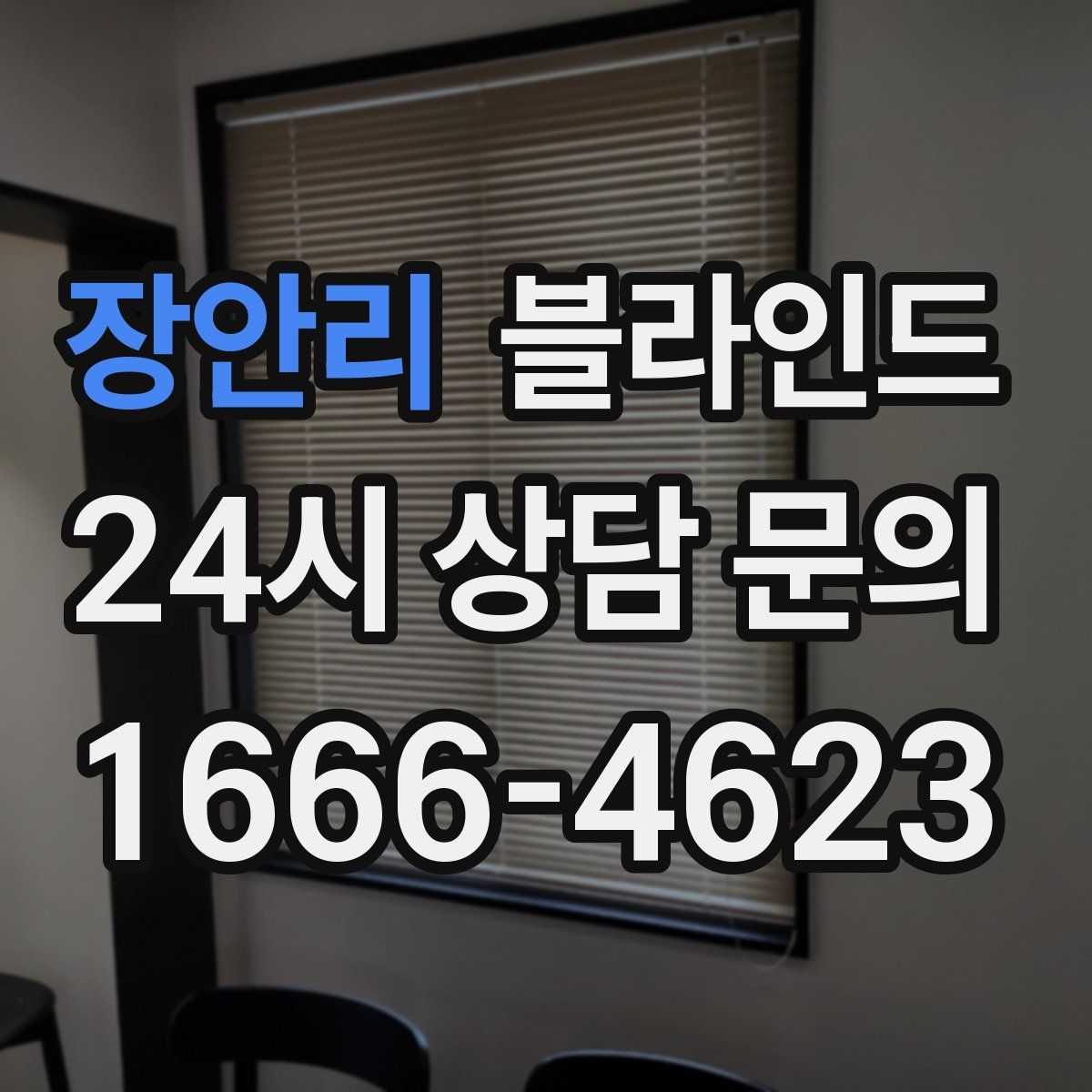 장안리 블라인드