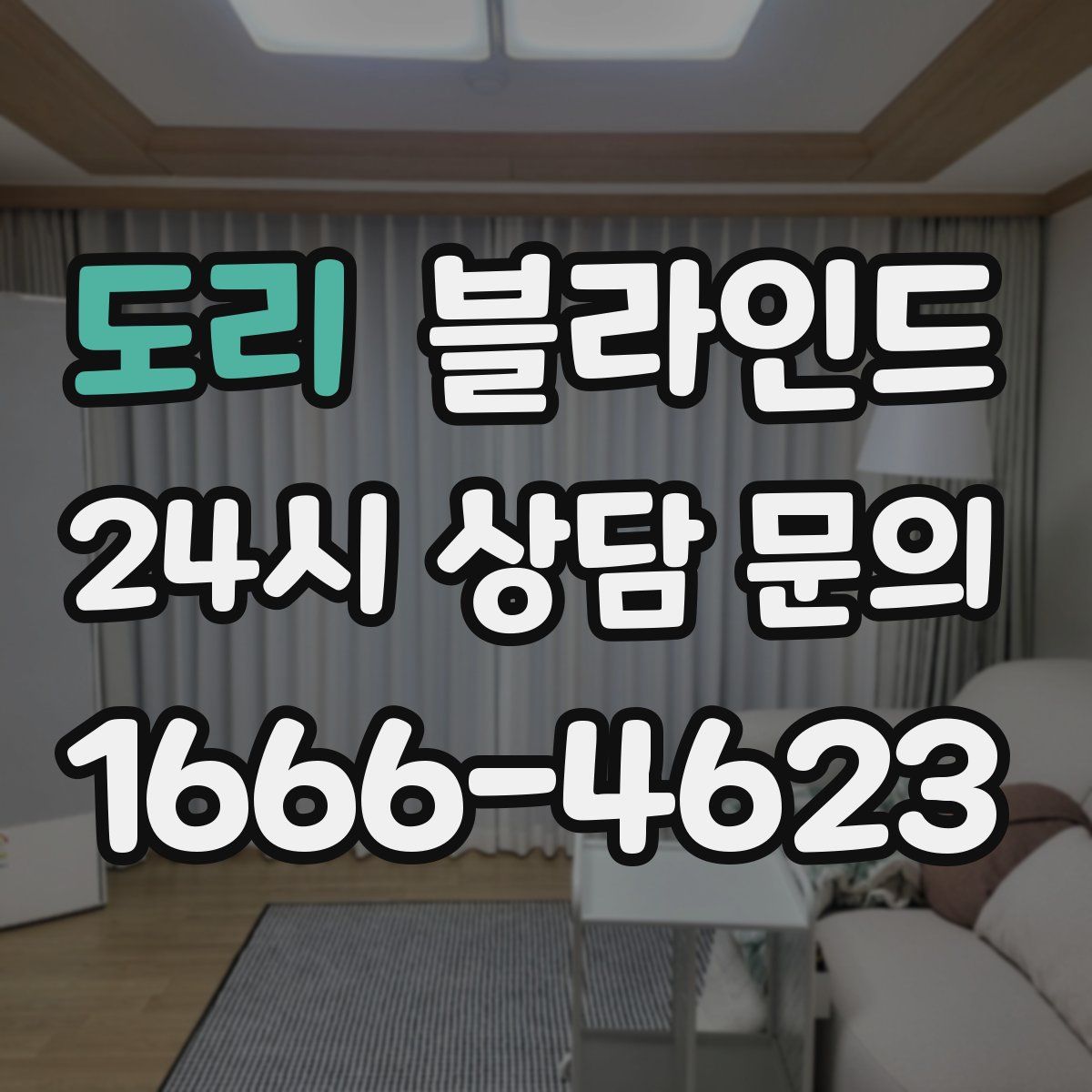 도리 블라인드