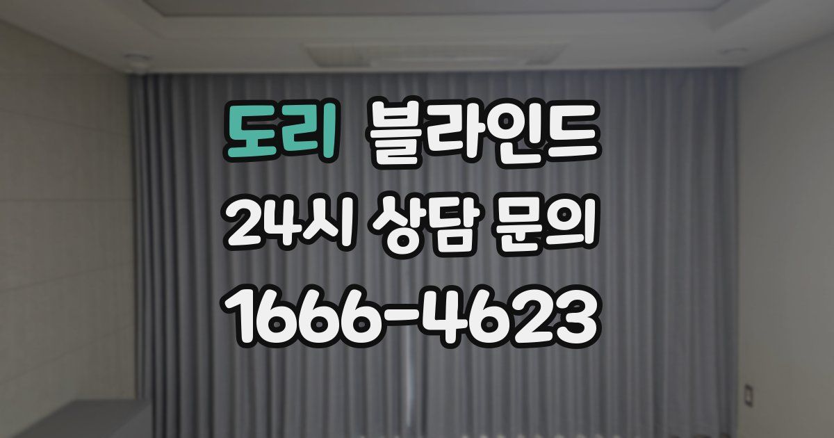 도리 블라인드