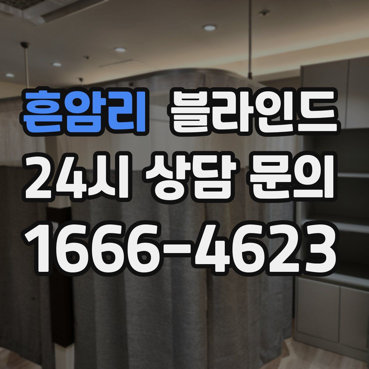 흔암리 블라인드
