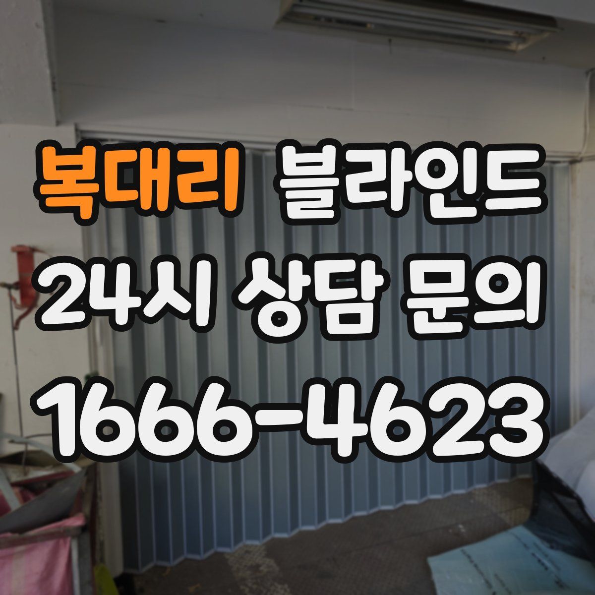 복대리 블라인드