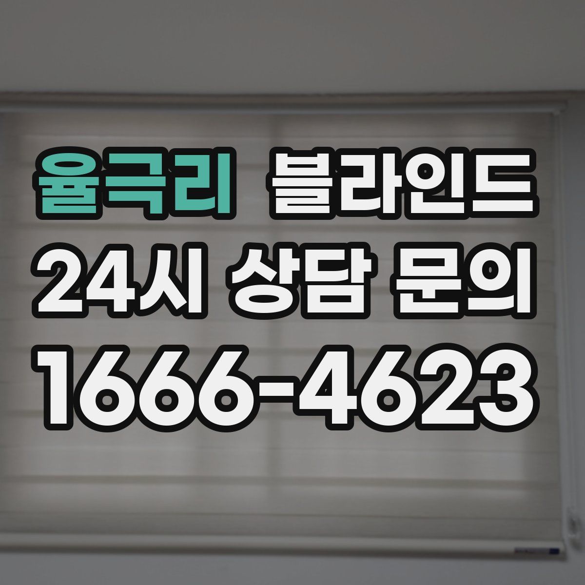 율극리 블라인드