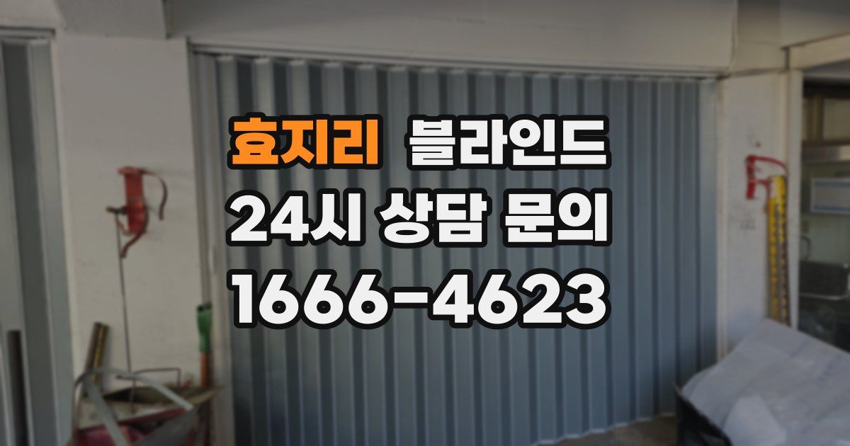 효지리 블라인드