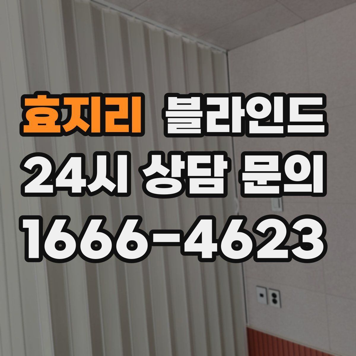 효지리 블라인드