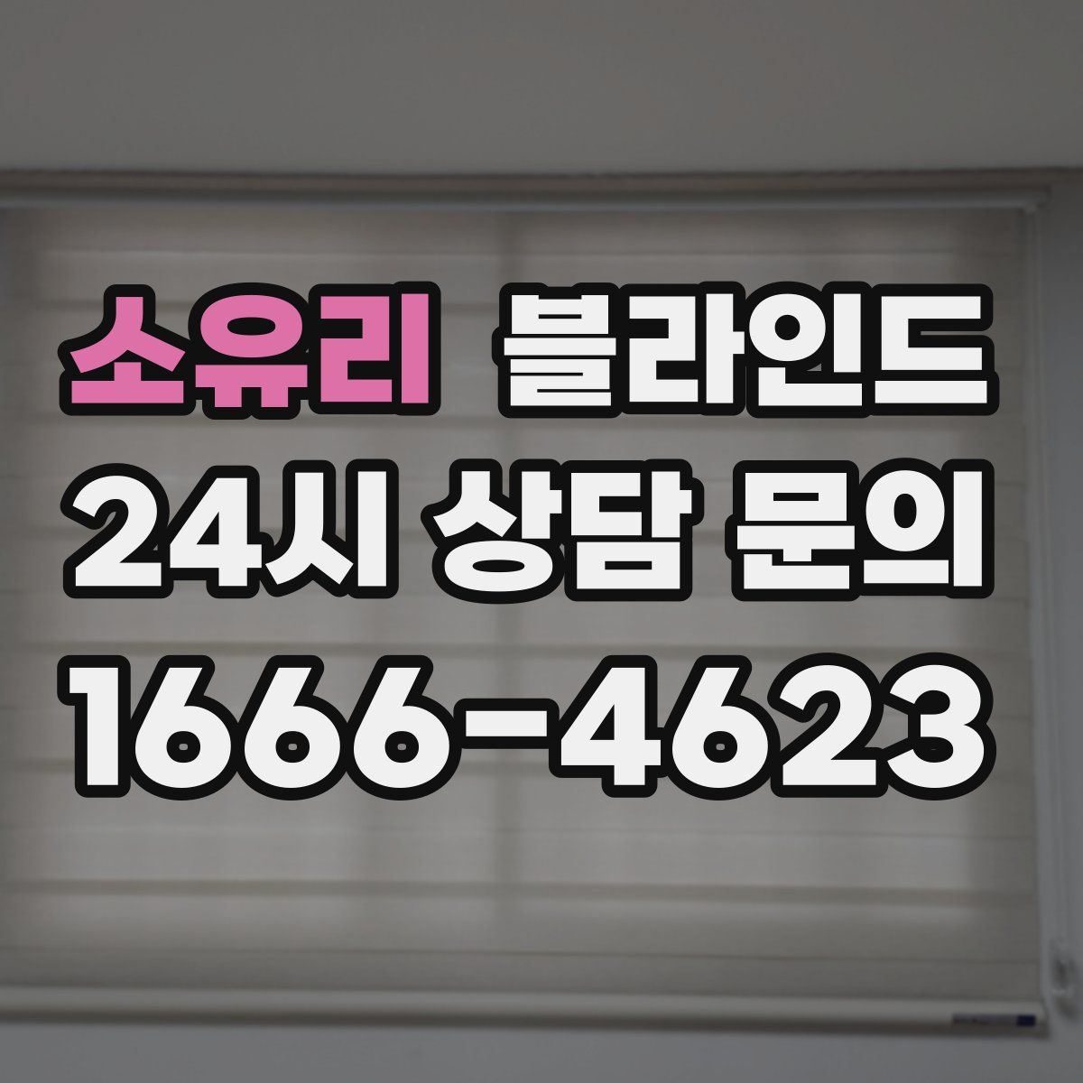 소유리 블라인드