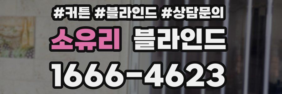 소유리 블라인드