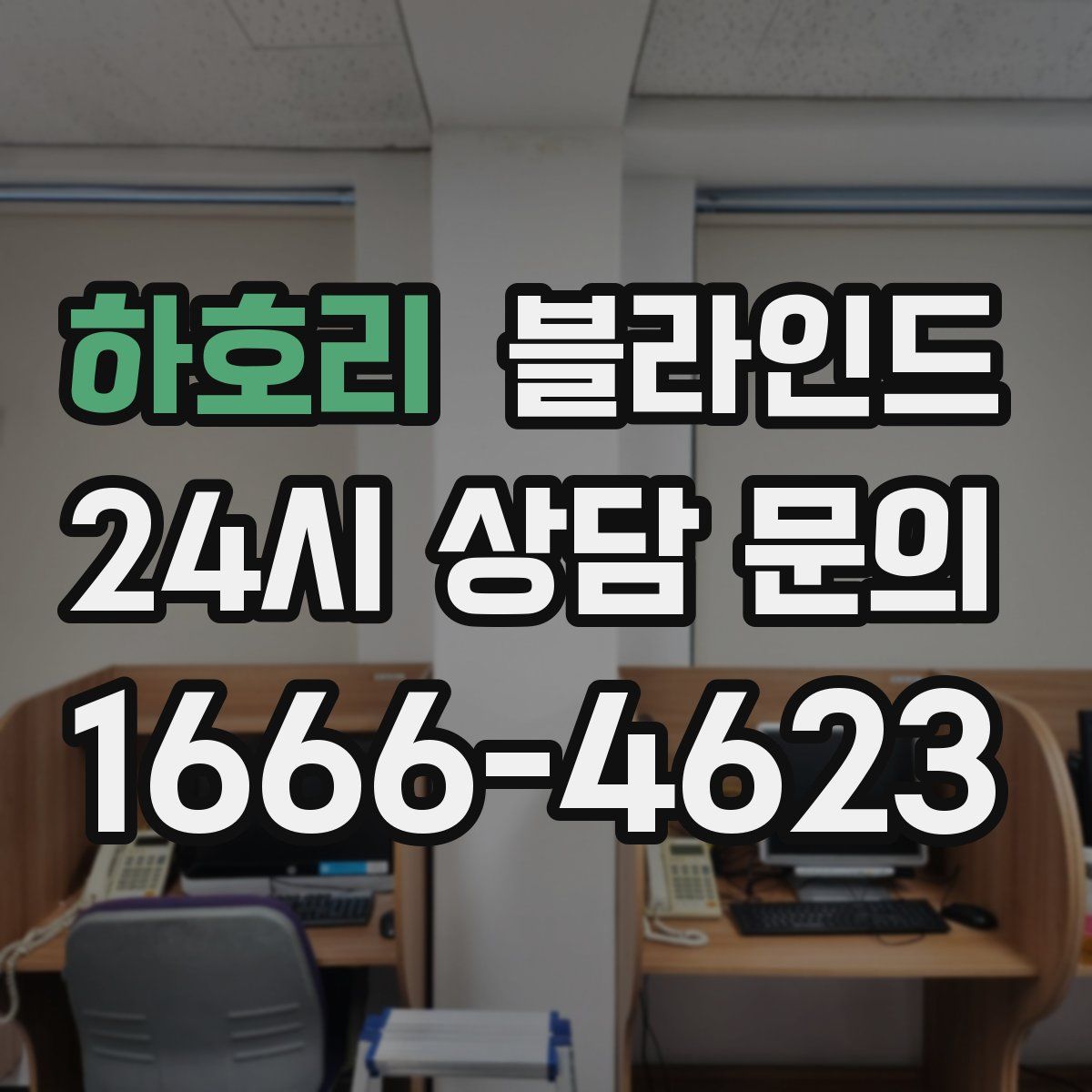 하호리 블라인드