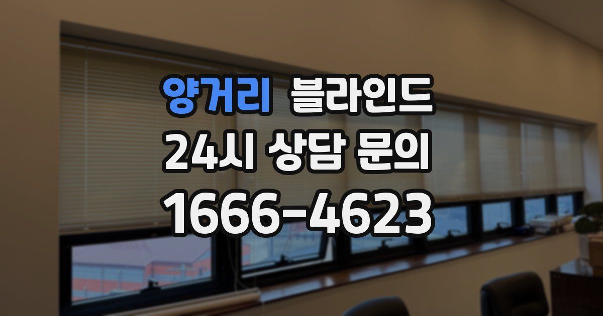 양거리 블라인드