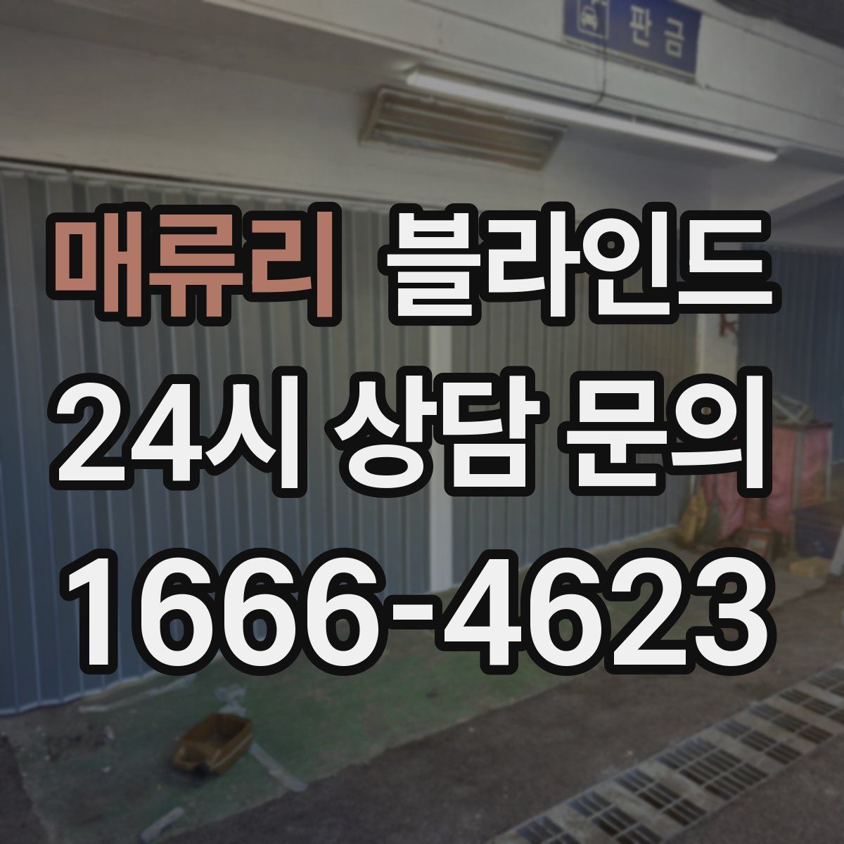 매류리 블라인드