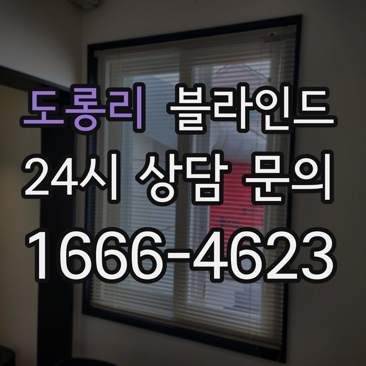 도롱리 블라인드