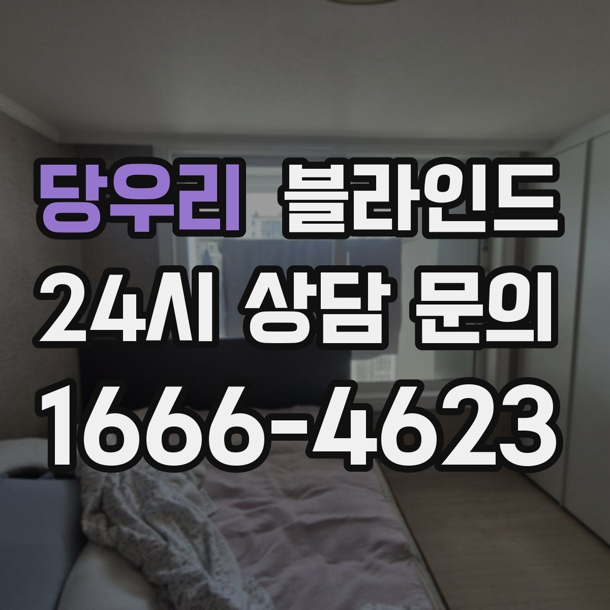당우리 블라인드