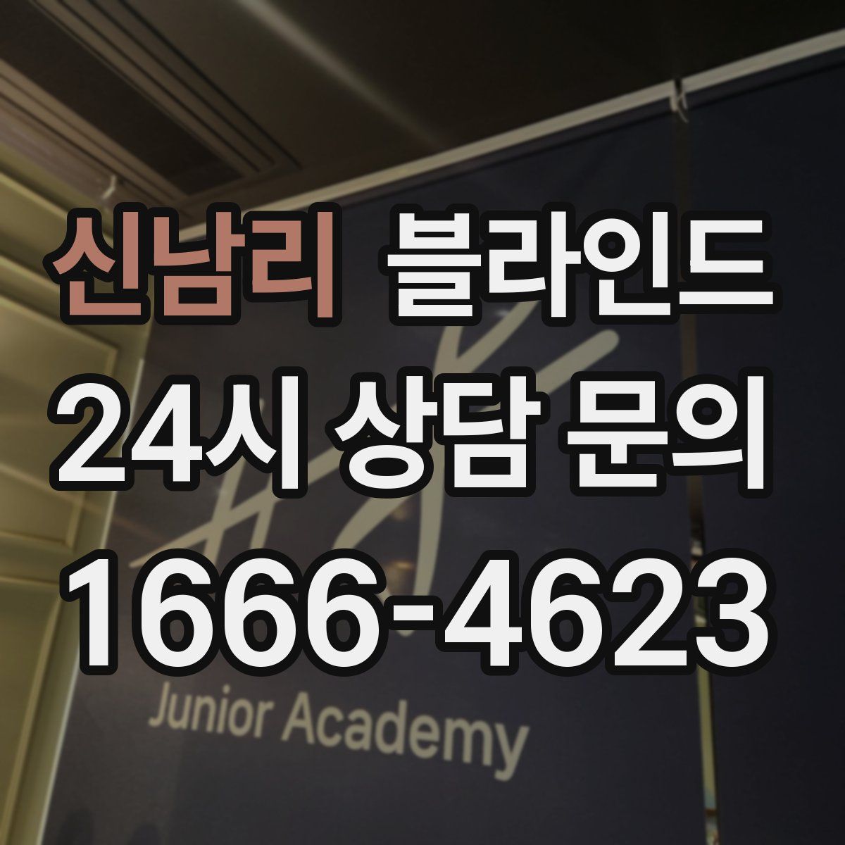 신남리 블라인드