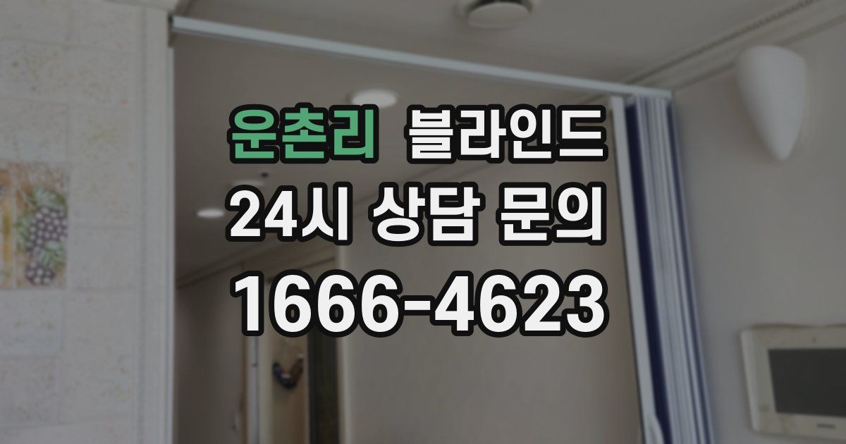 운촌리 블라인드